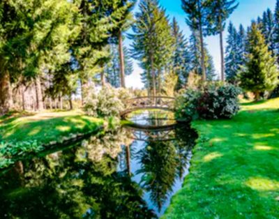 VLA 47 Cabaña La Araucaria en Las Balsas