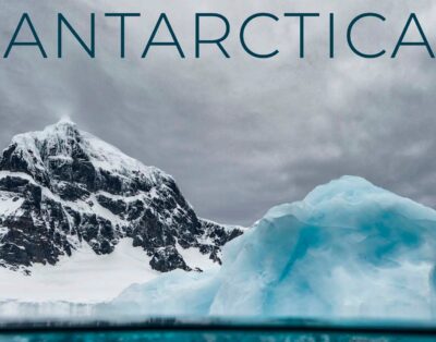 Albatros – Viaje a la Antartida