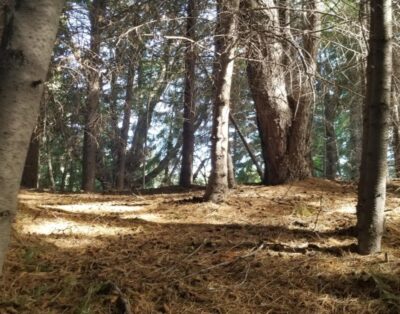 VLA 154 Terreno en venta en la Península de Puerto Manzano