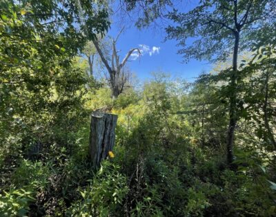 BRC Venta terreno en Arelauquen lote G40 – 1 – 8.269 m2