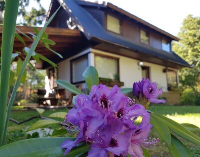 VLA 181 Cabaña en Epulafquen